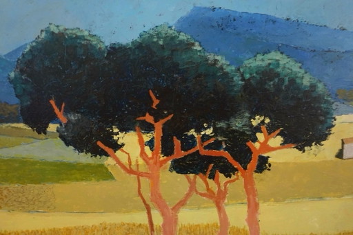 Paysage avec des pins