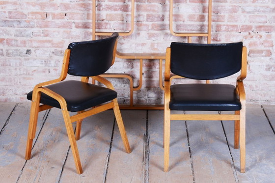 Set of Eight Restored Mid-Century Chairs, by Ludvik Volak, Maple, Czech, 1960s – Dining chairs, Wood, Skai (photo 8 of 20)