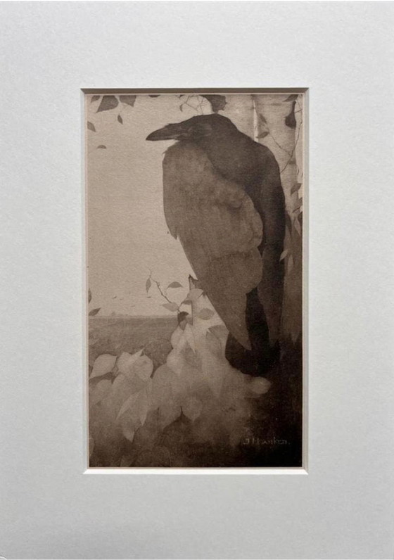 Image 1 of Jan Mankes 1889-1920 / Héliogravure originale Corbeau à Berkenboom 1923
