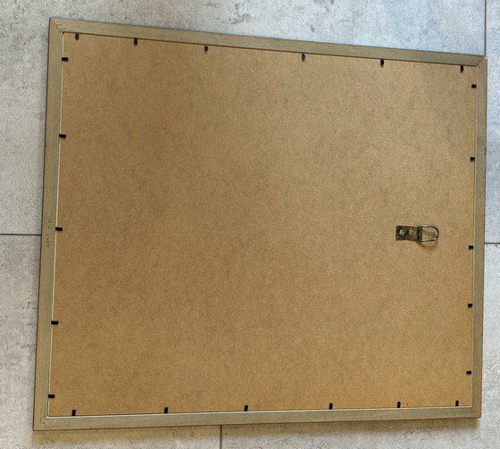 Image 1 of ¡Primavera!