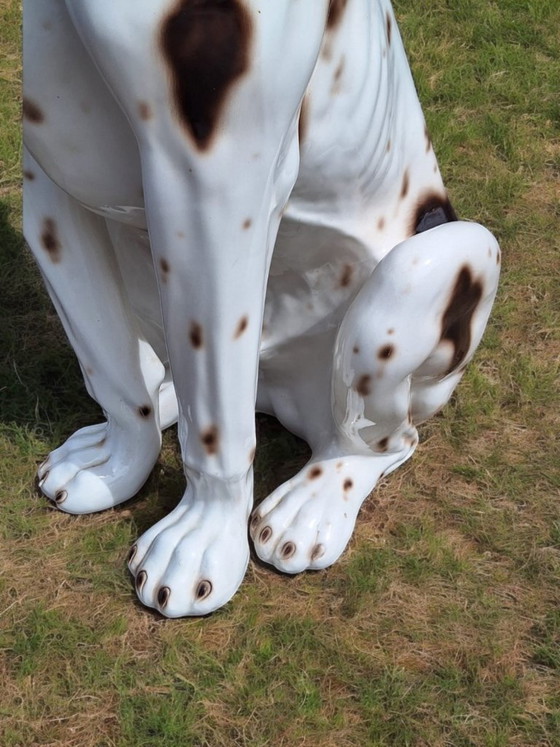Sculpture de chien en céramique, blanc et marron, Porcelaine, Hollywood Regency (photo 5 sur 8)