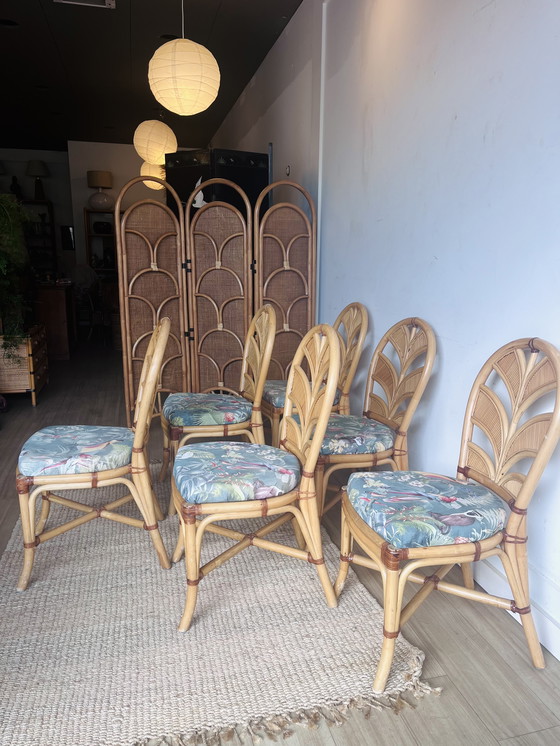Image 1 of 6 Palm Leaf Rattan chairs Vivai del Sud