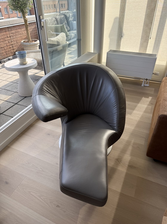 Image 1 of Leolux Parabolica design fauteuil | Wapiti leer | Factuur aanwezig | 2020
