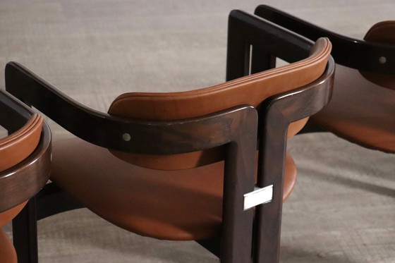 Image 1 of Chaises Pamplona d'Augusto Savini pour Pozzi, Italie, années 1960, ensemble de 8