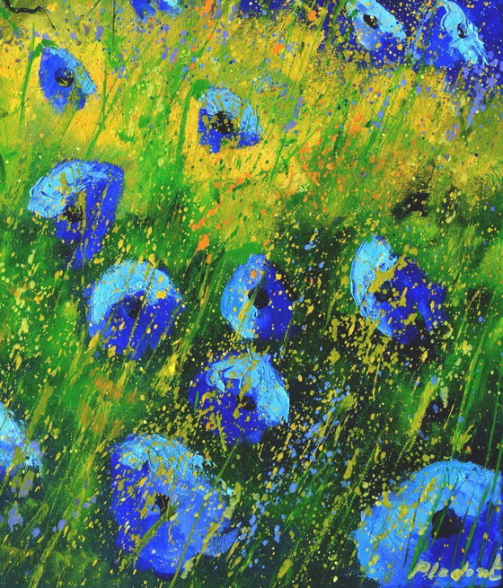 Image 1 of Blaue Mohnblumen 6726