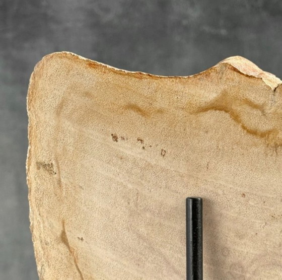 Image 1 of Madera fosilizada de Sooka, soporte hecho a medida (nuevo)