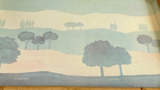 Image 1 of Catherine Escalon DIENBLAD VINTAGE FIBREGLAS