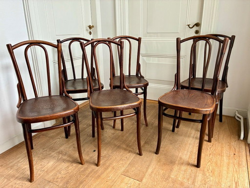 6x Thonet no. 56 chairs