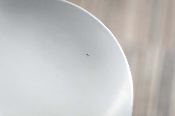 Image 1 of Fritz Hansen Serie 7 Schmetterlings-Empfangsstuhl