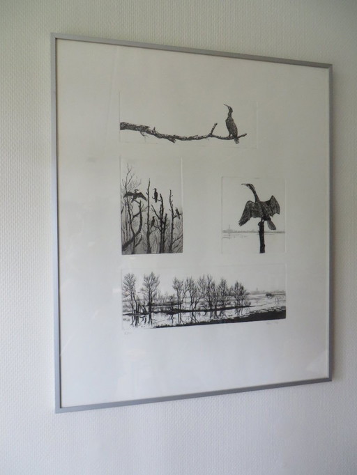 Ans van der Zweep-Heijmen Etching compilation - Cormorants in the Gelderland landscape