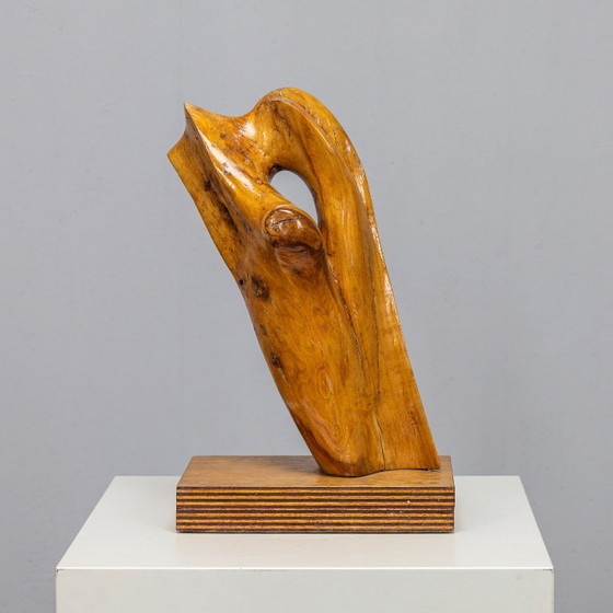Image 1 of Abstract Organic Wood Sculpture by H. Hinfelaar, Netherlands, 1980s
