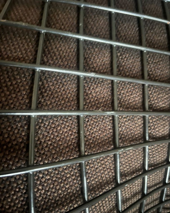 Image 1 of Sedia Diamond di Harry Bertoia per Knoll