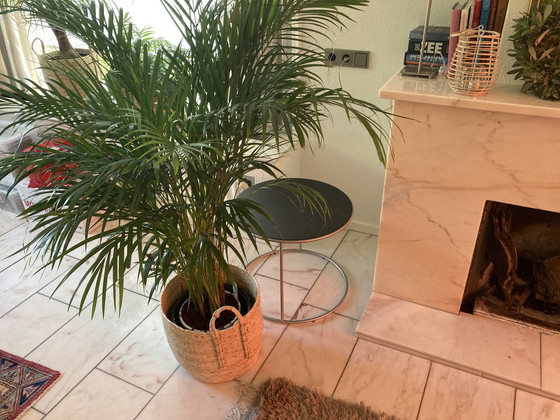 Image 1 of Aangeboden Een Cappellini Tavolini Cannot Table