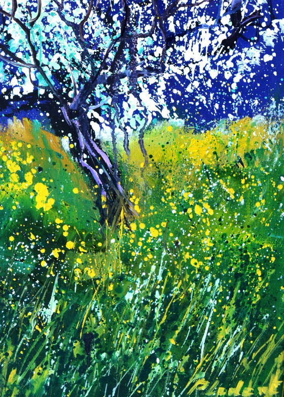 Image 1 of Bloeiende bomen in de lente