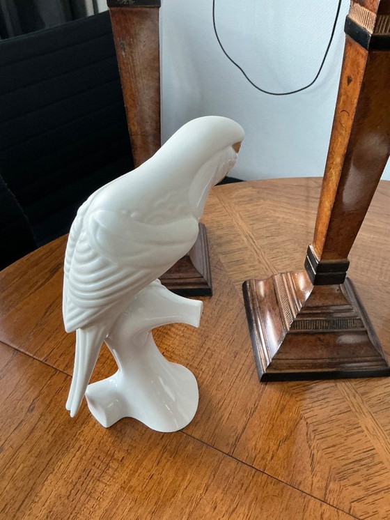 Image 1 of Royal-Dux papagaai 🦜 3 