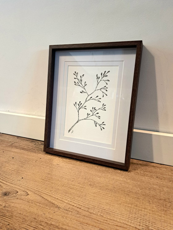 Image 1 of Illustration of a botanical meadow flower | Botanical arts