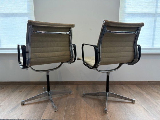 Image 1 of Sillas Eames para Herman Miller 680S/86S