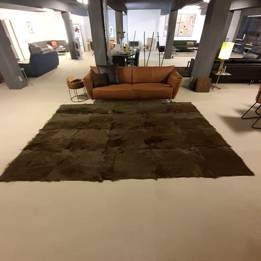Minotti Kidassia rug - 225x345