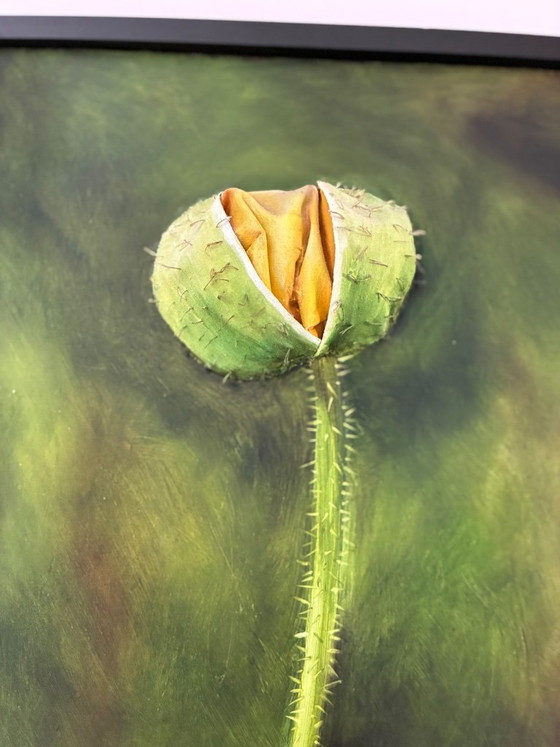 Amapola amarilla, de Cathy Savels – Pinturas y dibujos, Wood, Canvas (photo 3 of 6)
