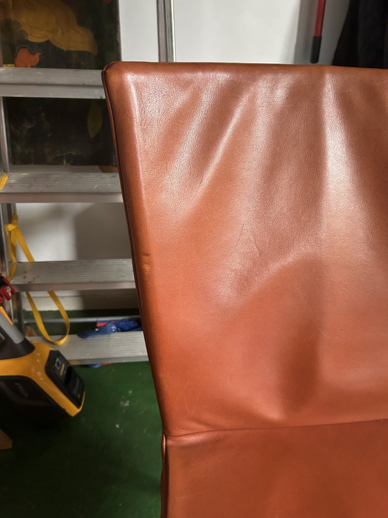 8 x Marchio Spica’s Montis – Sedie da pranzo, Leather (photo 5 of 5)