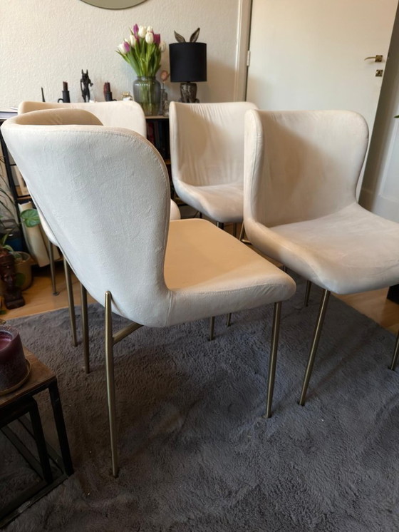 Image 1 of 4 sedie da pranzo Westwing Tess - velluto beige e oro