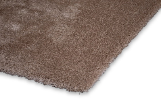 Image 1 of Brinker Puglia