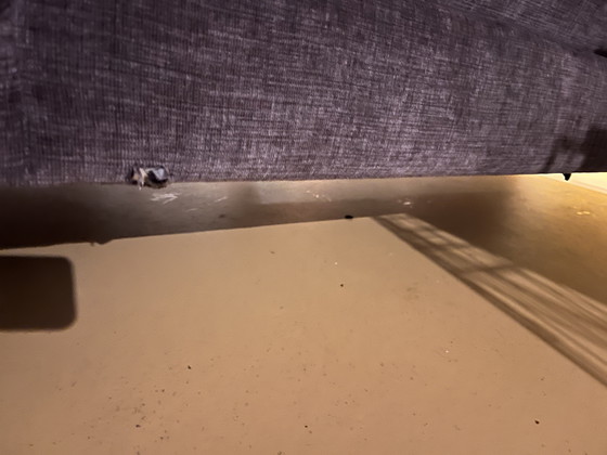 Image 1 of Banco único de color púrpura, puede colocarse en diferentes posiciones