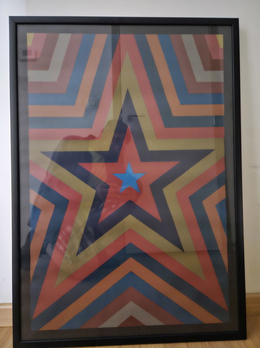 Litografia di Sol Lewitt Stella a cinque punte
