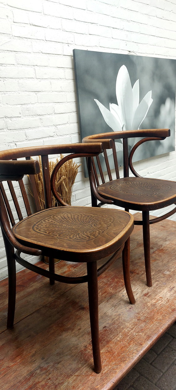Image 1 of Thonet stoelen 2 stuks