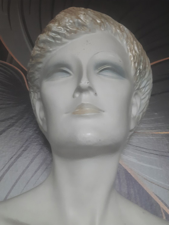 Image 1 of Mannequin torso