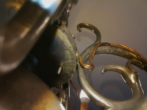 Image 1 of lucentezza da clone fiammingo