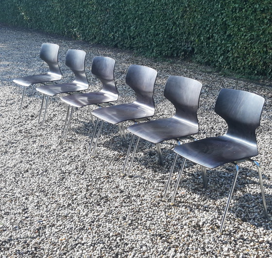 Image 1 of Set Flötotto Pagholz eetkamerstoelen   palisander 