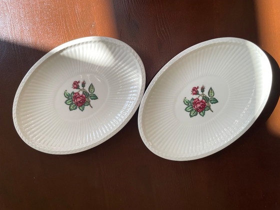 Image 1 of Wedgwood Moss rose