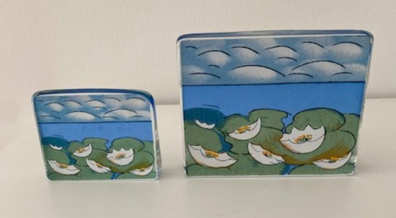 Image 1 of Iittala Helja Liukko Sundstrom 2 Decoratieve Objecten Waterlelies