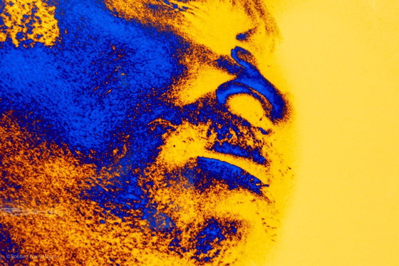 Image 1 of BB King - de koning van de blues, Nederland 1986