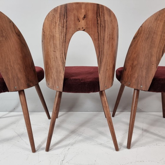 Image 1 of Chaises vintage d'Antonin Suman, années 1960, lot de 4