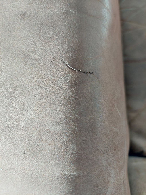 Image 1 of Sillón Longa - Gerard van den Berg