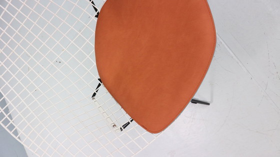 Image 1 of Silla Diamond de Harry Bertoia en metal blanco y negro y asiento de cuero nuevo