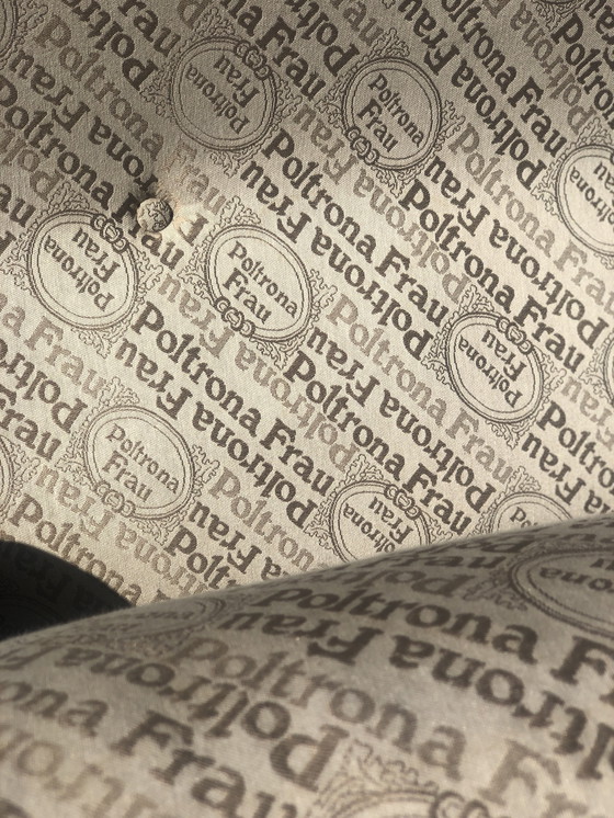 Image 1 of Sofá modelo “Petronio” de cuero de Tito Agnoli para Poltrona Frau 1970