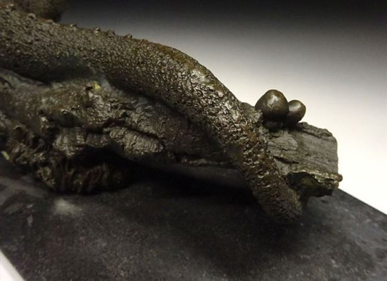 Image 1 of Caméléon en bronze signé Barye