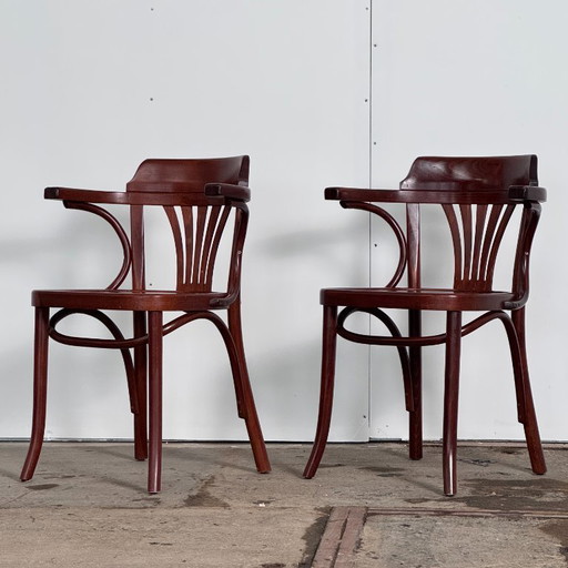 Paire de chaises hongroises Sellaton, années 2000 — Design contemporain