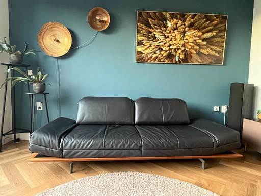 Hülsta HS.420 sofa black leather