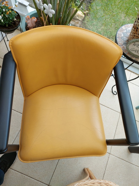 Image 1 of 4xsedie Leolux (CACHUCHA), pelle Wapity. Il designer Hugo de Ruiter.