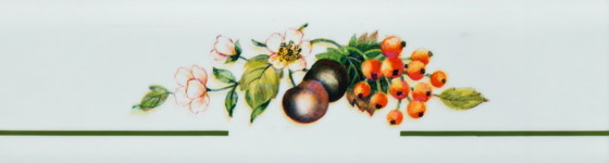 Image 1 of Brabantia Tellerwärmer der Serie „Frisches Obst“ – Neu und unbenutzt