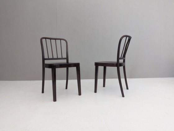 Image 1 of Sillas de comedor Thonet A 811/4 de Josef Hoffmann para Thonet, década de 1930