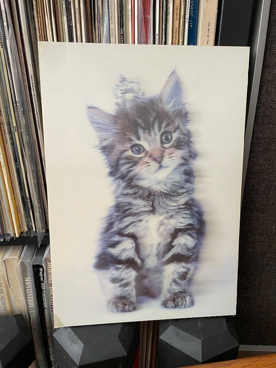 Impresión lenticular, Gatito, Multicolor, Láminas artísticas, 1990 (foto 4 de 11)