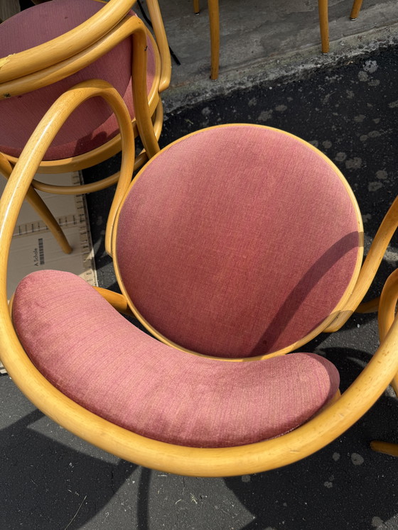 10 Thonet 210 P stoelen, fauteuils, fluweel, vintage – Eetkamerstoelen, Wood (photo 3 of 8)