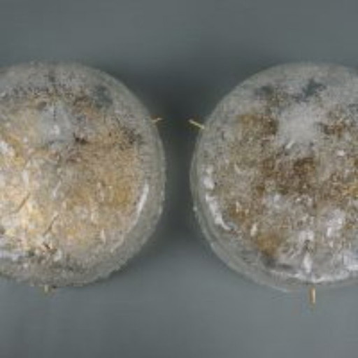 2 plafoniere vintage in vetro ghiaccio di Kaiser Leuchten degli anni '70
