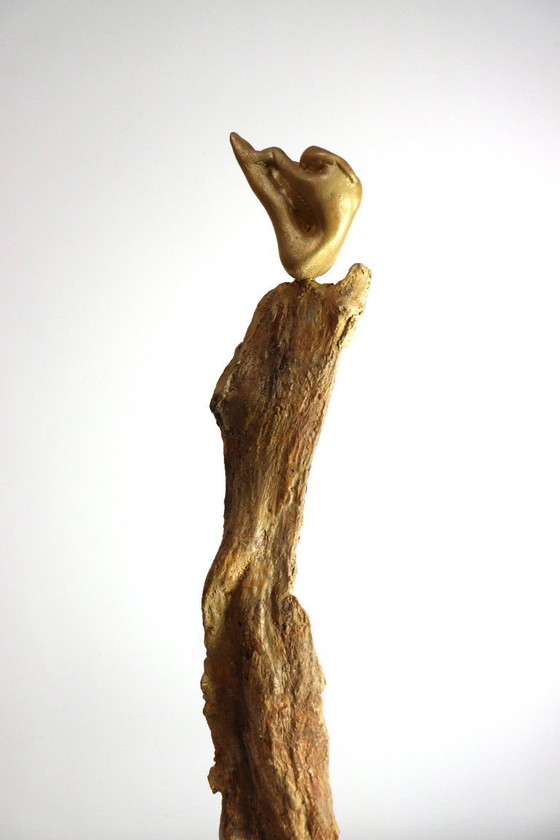 Image 1 of Ribilanciamento