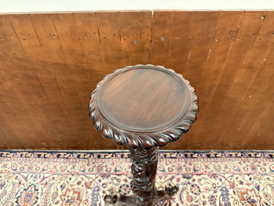 Porta piante Pied De Stalle classico inglese – Legno (photo 10 of 10)